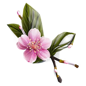 Single Sakura Blossom Png Syc9 PNG image