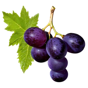 Single Seedless Grape Png 26 PNG image