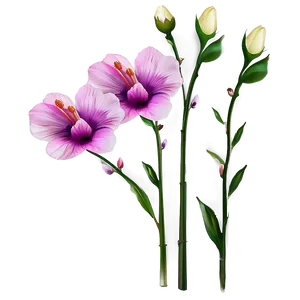 Single Stem Flower PNG Olj PNG
