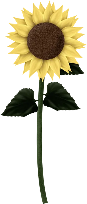 Single Sunflower Graphic PNG image