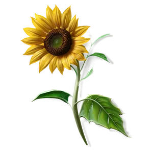 Single Sunflower PNG Nbx
