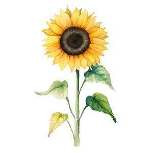 Single Sunflower Watercolor Portrait PNG Pag88 PNG