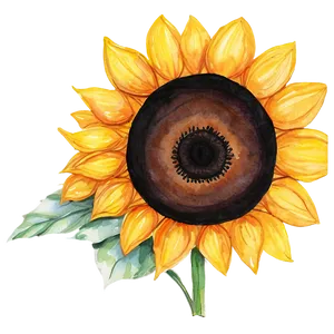 Single Sunflower Watercolor Portrait PNG Tmv