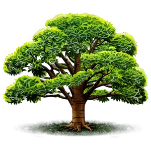 Single Tree Elevation View Png Bsa PNG image