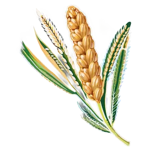 Single Wheat Ear PNG 05252024
