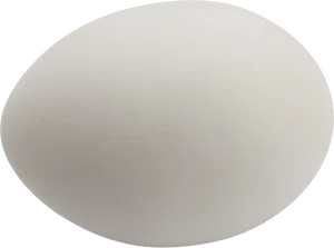Single White Eggon Black Background.jpg PNG image