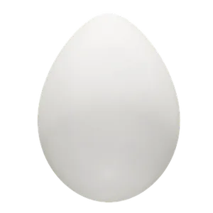 Single White Eggon Black Background PNG image