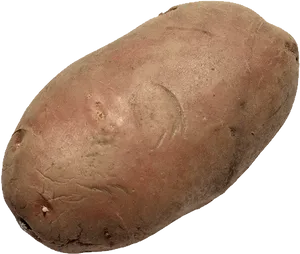 Single Yam Isolatedon Background PNG image