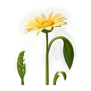 Single Yellow Daisy Bloom Png Ftg PNG image