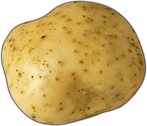 Single Yellow Potato PNG image