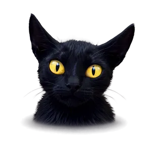 Sinister Black Cat Png 05062024 PNG image