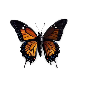 Sitting Butterflies PNG Diy PNG