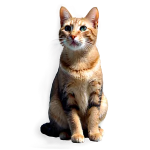 Sitting Cat Transparent 05252024 PNG image