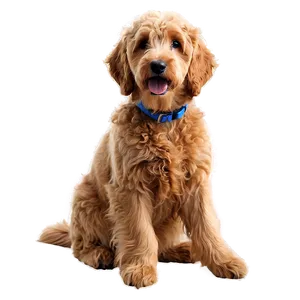 Sitting Goldendoodle PNG Nyy19 PNG