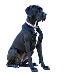 Sitting Great Dane Png 71 PNG image