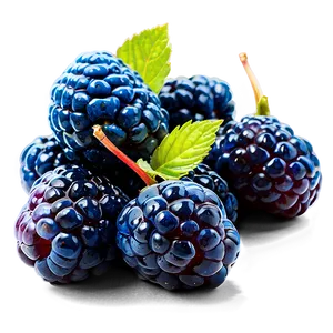 Sizzling Blue Raspberry PNG 25 PNG