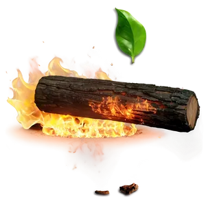 Sizzling Fire PNG A
