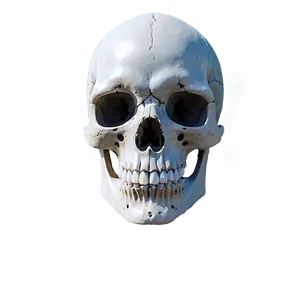 Skeleton D PNG image