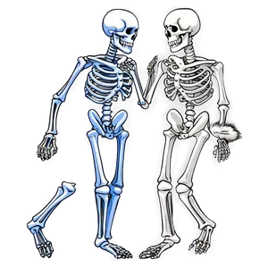 Skeleton Dancing With Cat PNG Jbd