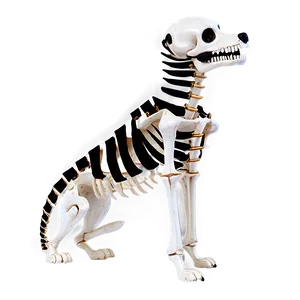 Skeleton Dog PNG Bqc84