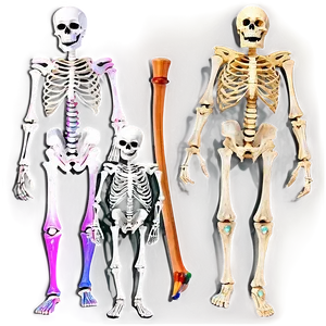 Skeleton Family Png 77 PNG image