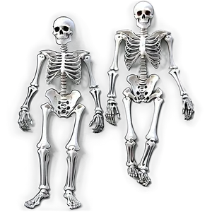 Skeleton Family Png Yui PNG image