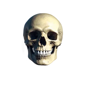 Skeleton Head Png 05032024 PNG image