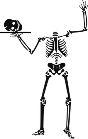 Skeleton Holding Skull PNG image