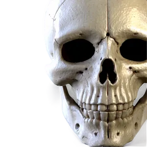Skeleton Knight Png 63 PNG image