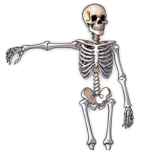 Skeleton Queen Png 05032024 PNG image