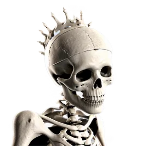 Skeleton Queen PNG 87