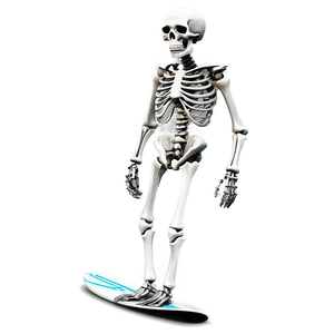 Skeleton Surfer Png Wxc PNG image