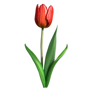 Sketch Of Tulips Png Pwr12 PNG image