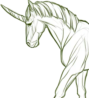 Sketch_of_ Unicorn_ Profile