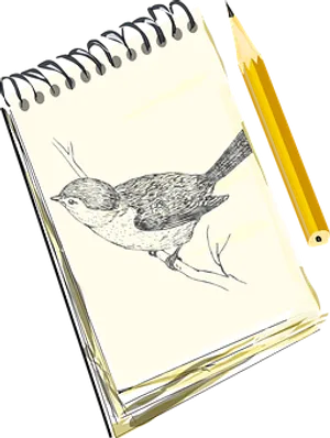 Sketchbook Bird Drawingand Pencil PNG image