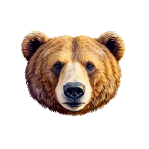 Sketched Bear Drawing PNG Fqn22