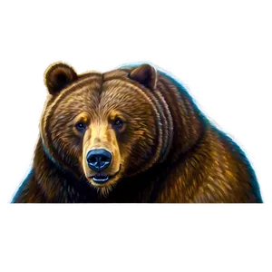 Sketched Bear Drawing PNG Kgr