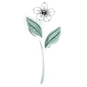 Sketched Black White Flowers Png Ted1 PNG image