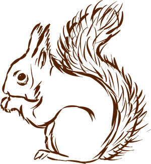 Sketchof Brown Squirrel PNG image