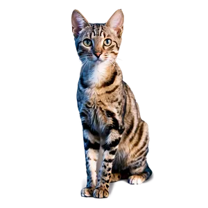 Skinny Cat PNG 29 PNG