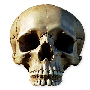 Skull Bones PNG Thi PNG