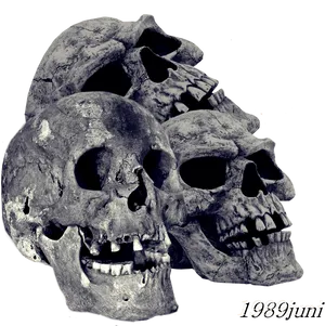 Skull Montage Art1989juni PNG image