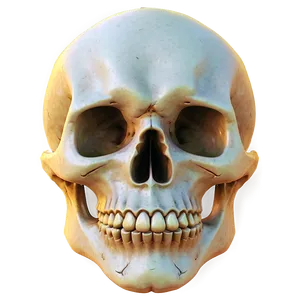 Skull Pattern PNG Vkp