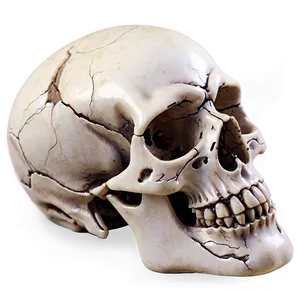 Skull Spin Fantasy Png Sst PNG image