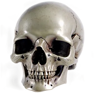 Skull Symbol PNG Wkk18 PNG