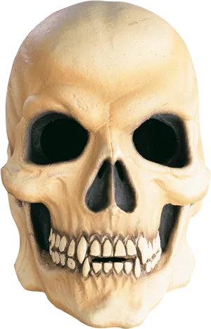 Skull_ With_ Vampire_ Teeth PNG image