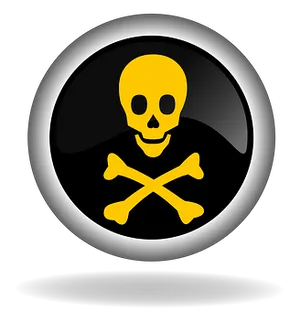 Skulland Crossbones Icon PNG image