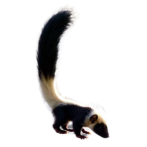Skunk Tail PNG Krl