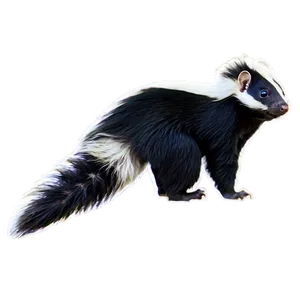 Skunk Wildlife Png 06262024 PNG image