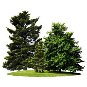 Skyline Trees PNG Dsc7 PNG